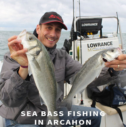 Sea bass fishing in Arcachon